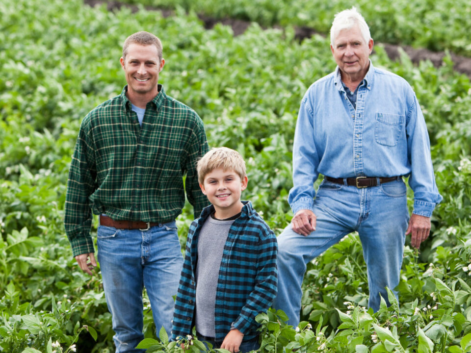 Farm Succession Tips